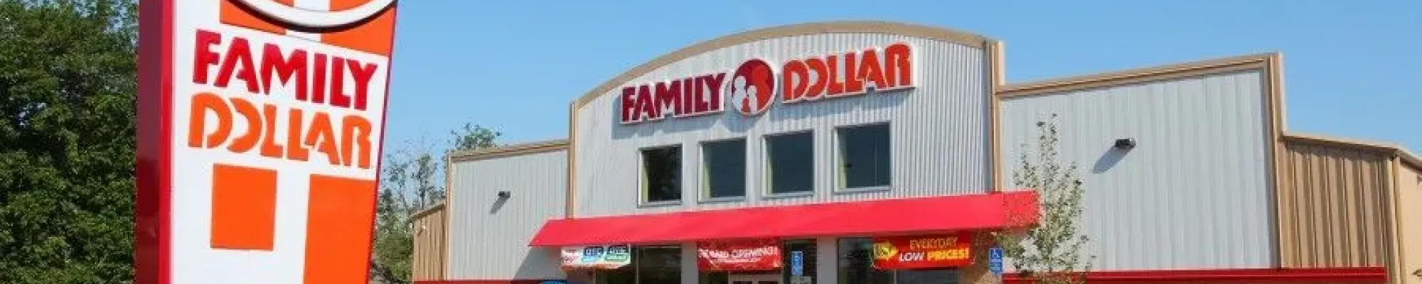 Family Dollar Store Recalls 254,000 Toys - Mukerji Law